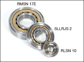 BALL AND ROLLER BEARINGS WITH SELF ALIGNING SLEEVES